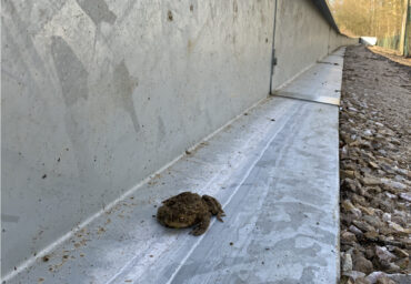 22-01 Artenvielfalt in Gefahr