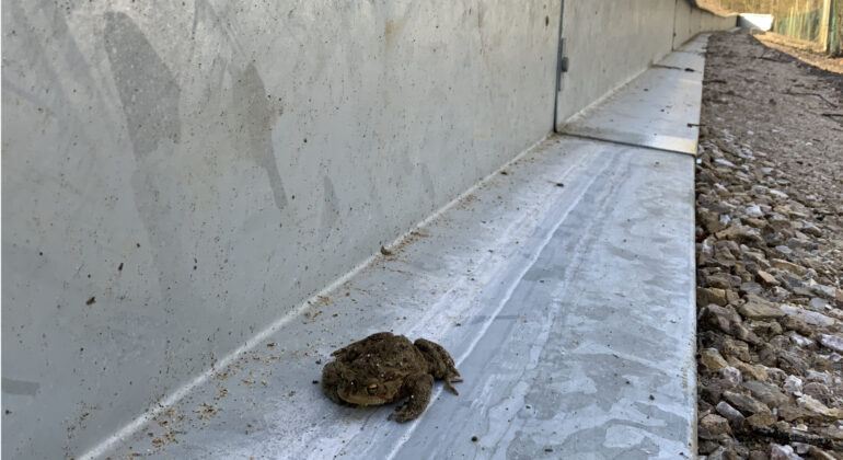 22-01 Artenvielfalt in Gefahr